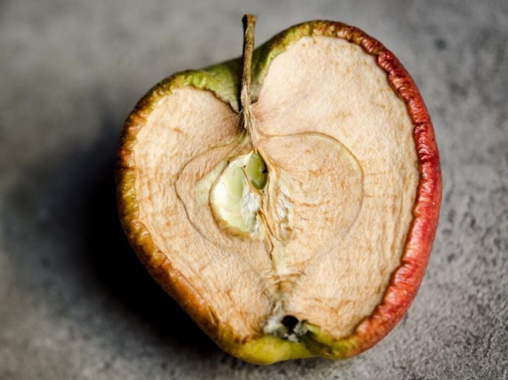 Ελεύθερες ρίζες